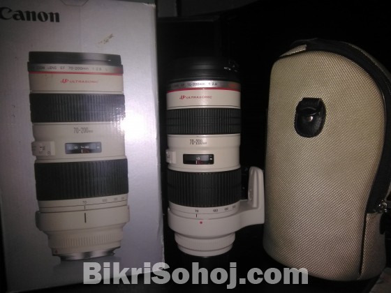 Canon 70-200 Lence